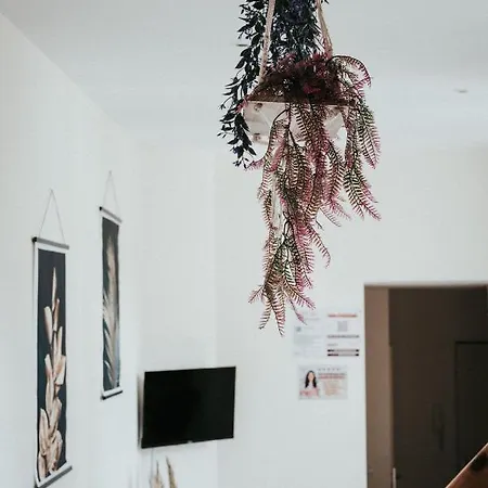 F3 Duplex Lumineux Amazonia Hypercentre Lamartine 203 Clermont-Ferrand