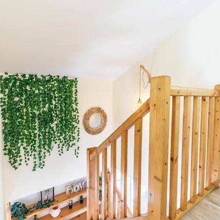 דירה F3 Duplex Lumineux Amazonia Hypercentre Lamartine 203 *