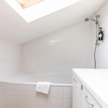 F3 Duplex Lumineux Amazonia Hypercentre Lamartine 203