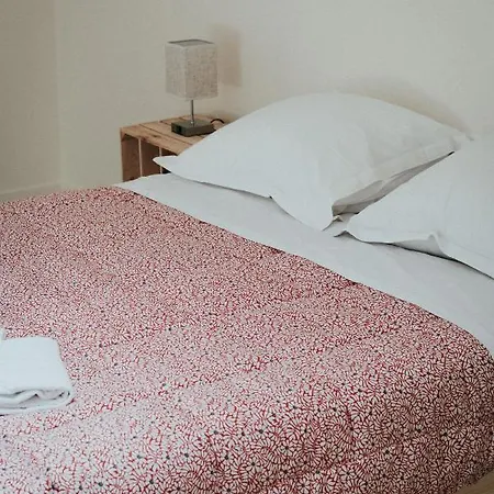 F3 Duplex Lumineux Amazonia Hypercentre Lamartine 203 * Clermont-Ferrand