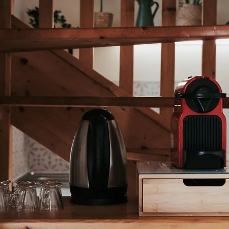 Apartament F3 Duplex Lumineux Amazonia Hypercentre Lamartine 203 Clermont-Ferrand