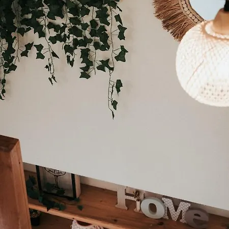 F3 Duplex Lumineux Amazonia Hypercentre Lamartine 203 *