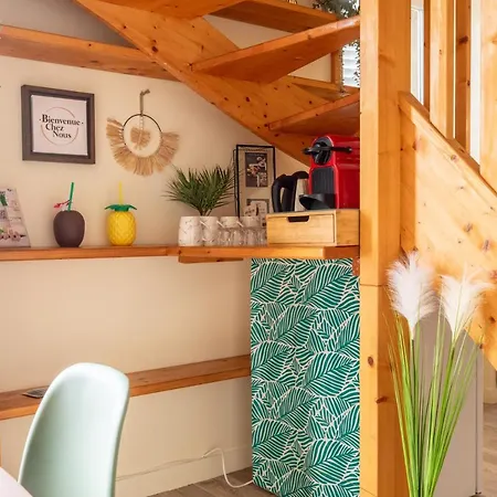 F3 Duplex Lumineux Amazonia Hypercentre Lamartine 203 Appartement