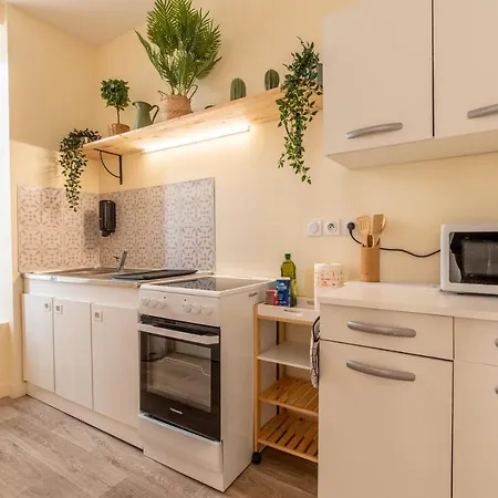 F3 Duplex Lumineux Amazonia Hypercentre Lamartine 203 Apartment *