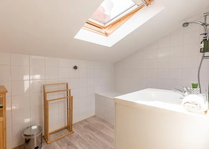 F3 Duplex Lumineux Amazonia Hypercentre Lamartine 203 * كليرمونت-فيراند