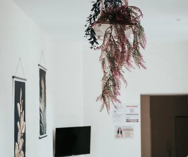 F3 Duplex Lumineux Amazonia Hypercentre Lamartine 203 كليرمونت-فيراند