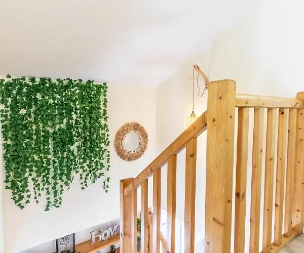 شقة F3 Duplex Lumineux Amazonia Hypercentre Lamartine 203 *