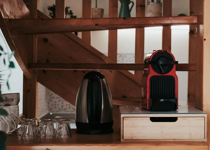 شقة F3 Duplex Lumineux Amazonia Hypercentre Lamartine 203 كليرمونت-فيراند