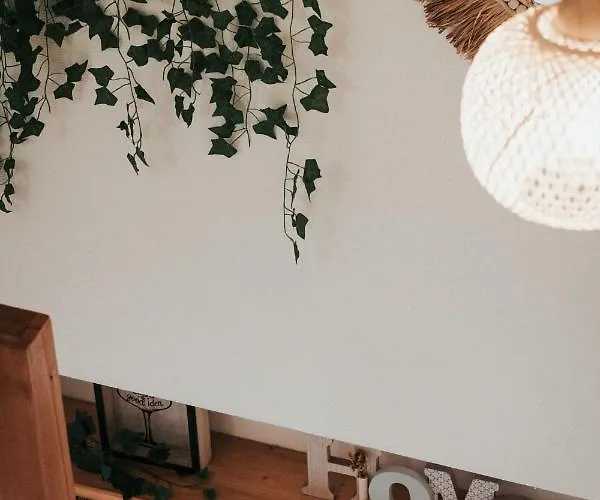 F3 Duplex Lumineux Amazonia Hypercentre Lamartine 203 *