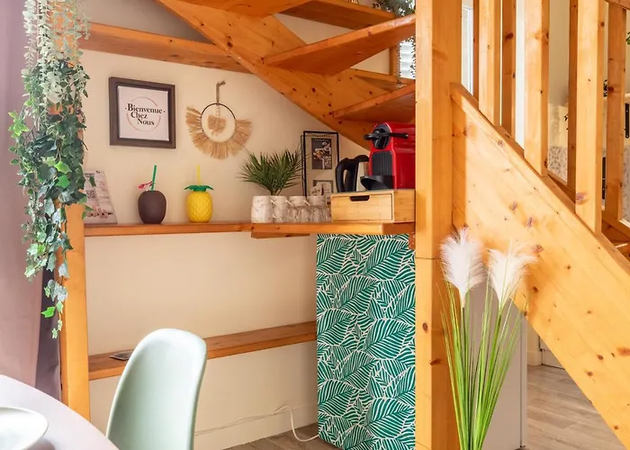 F3 Duplex Lumineux Amazonia Hypercentre Lamartine 203 شقة